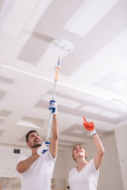 Best Residential Mold Inspection & Testing  in Pirtleville, AZ